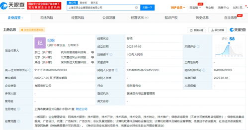 螞蟻集團上海新設企管咨詢公司，信息系統集成服務成亮點